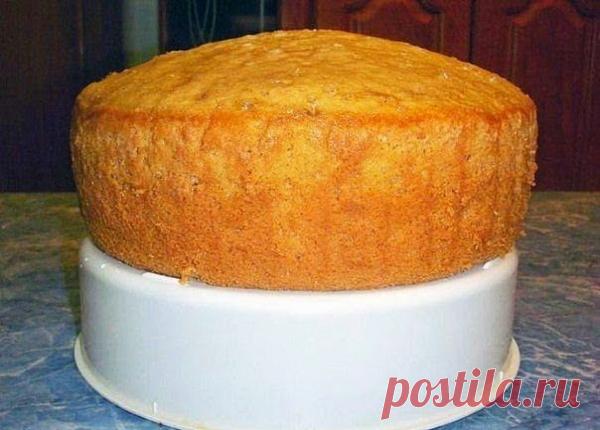 ТОП - 5 РЕЦЕПТОВ БИСКВИТОВ | ДОМАШНИЕ РЕЦЕПТЫ