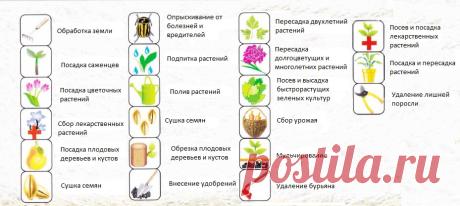 Лунный посевной календарь на 2018 год