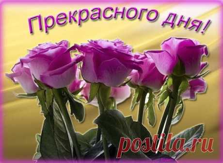 прекрасного дня