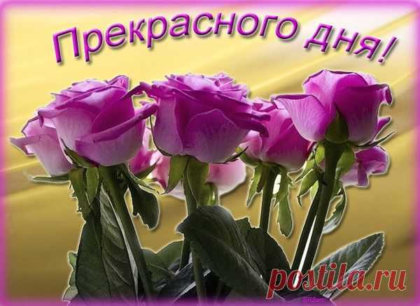 прекрасного дня