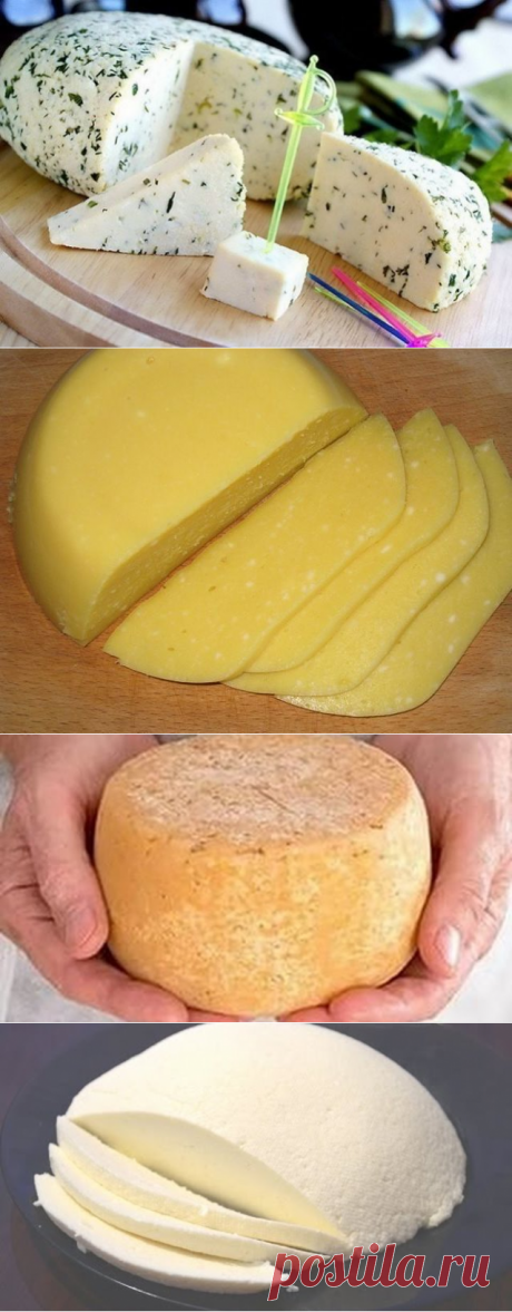 ДОМАШНИЕ СЫРЫ