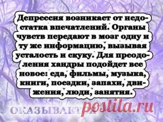 (8) Ника Январёва