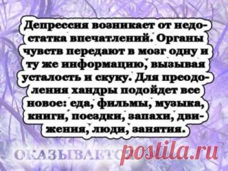 (8) Ника Январёва