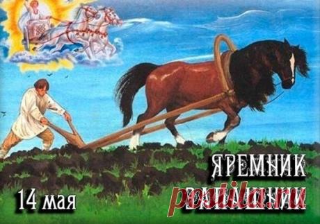 «Еремей, про посевы разумей!» — желаю, чтобы посеянное сегодня взошло быстро, а дождички поливали поле вовремя. Открытки на Еремей Запрягальник!