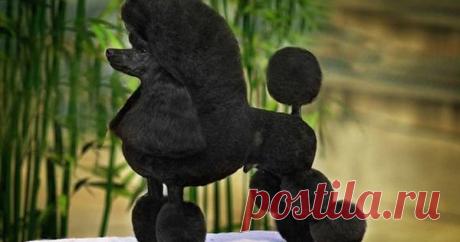 Редактировать описание