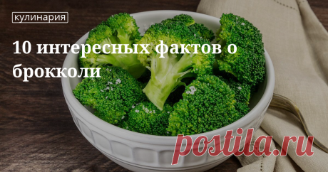 10 интересных фактов о брокколи 10 интересных фактов о брокколи | Кулинарный сайт Юлии Высоцкой: рецепты с фото