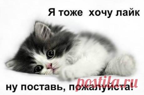 (1) Facebook