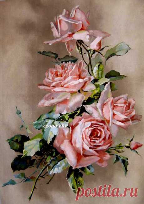Print FREE SHIP Cabbage Roses Catherine Klein CP65 Half Yard Long