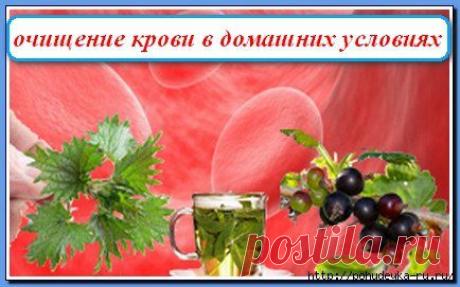 ДОМАШНИЕ МАЗИ,НАСТОЙКИ | Записи в рубрике ДОМАШНИЕ МАЗИ,НАСТОЙКИ | Дневник NADIABI
