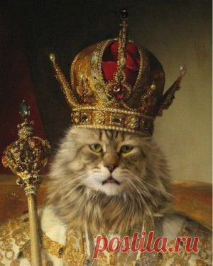 Кодекс Настоящего кота