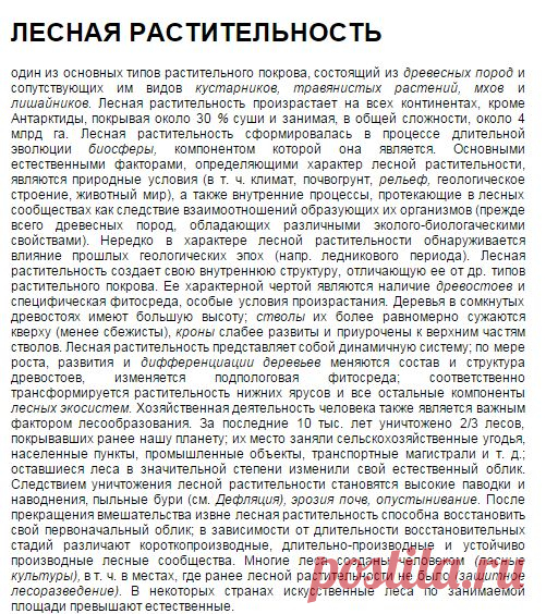 Лесная растительность