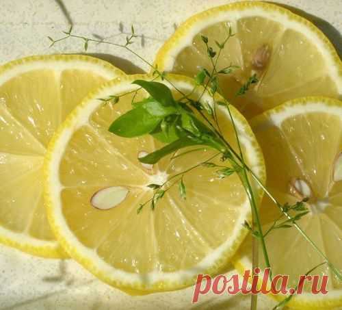 Как и почему нужно использовать весь лимон без отходов?