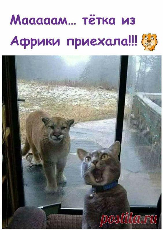 ЕЛЕНА РУДНИЦКАЯ