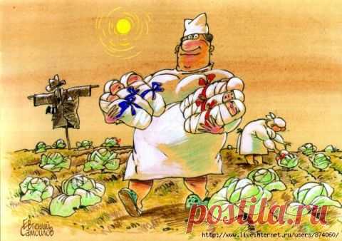Откуда берутся дети
