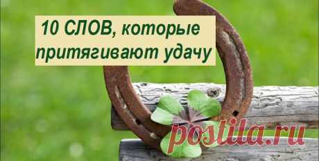 10 слов, которые притягивают удачу 10 слов, которые притягивают удачу
     Стать успешным человеком можно очень просто! И не надо для этого прикладывать усилия. Достаточно иметь веру в свои силы и дать себе позитивную установку на успех. Это можно сделать с помощью слова. Как мы знаем, слово и сила мысли могут творить чудеса.

   