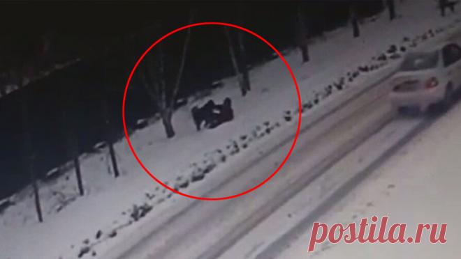 На Алтае собака под надзором хозяйки напала и покусала на подростка. В Бийске 15-летний подросток пострадала от укуса крупной собаки. Об этом сообщает Telegram-канал "Бийск 22". Инцидент произошел на Севастопольской улице. На кадрах с места происшествия заметно, как животное подбегает к девушке и ...