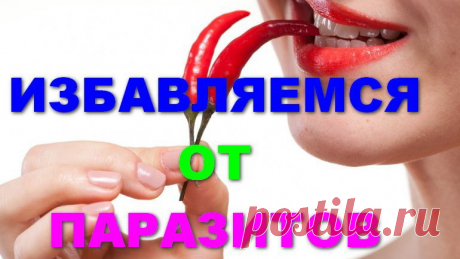🔴Как избавится от глистов, употребляя то, или иное растение в перечне из 15 и в чем полезно каждое растение в борьбе с гельминтами.
🔴Ссылка на видео: https://www.youtube.com/watch?v=8YkA3xRPqSs&amp;t=2s
🔴Почему Имбирь нельзя употреблять самостоятельно при лечении, а нужно использовать его обязательно одновременно с другими травами или растениями? 
🔴Ведь он может вызвать миграцию гельминтов!