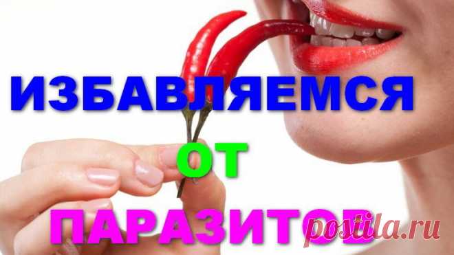 🔴Как избавится от глистов, употребляя то, или иное растение в перечне из 15 и в чем полезно каждое растение в борьбе с гельминтами.
🔴Ссылка на видео: https://www.youtube.com/watch?v=8YkA3xRPqSs&t=2s
🔴Почему Имбирь нельзя употреблять самостоятельно при лечении, а нужно использовать его обязательно одновременно с другими травами или растениями? 
🔴Ведь он может вызвать миграцию гельминтов!