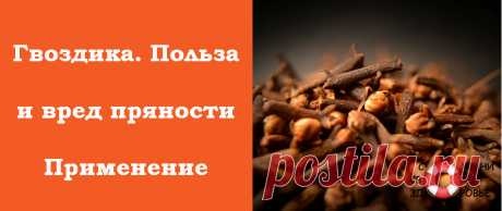 Гвоздика. Полезные свойства и противопоказания. Её польза и вред