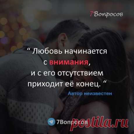 7Вопросов “ Любовь начинается с внимания, и с его отсутствием приходит её конец. “ © Автор неизвестен