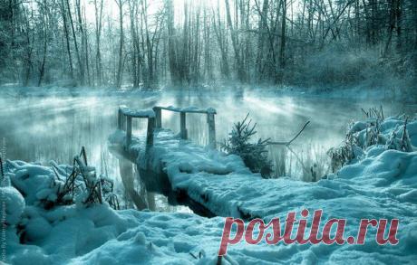 Зимнее фото | 501 фотография