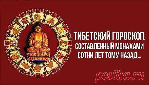 (23) Одноклассники