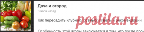 когда пересаживать клубнику