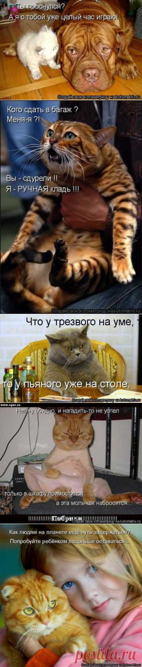 (+1) тема - Для хорошего настроения 3... Стырено в инете.. | ОБОРЖАКА ;)