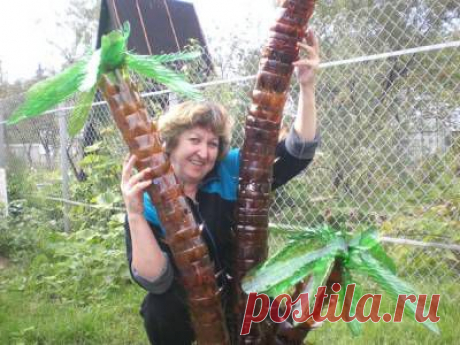 Пальма из пластиковых бутылок мастер-класс - ideidetsploshad.info