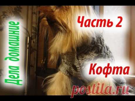 Кофта для собаки своими руками.Уроки вязания на канале ''Дела домашние''.