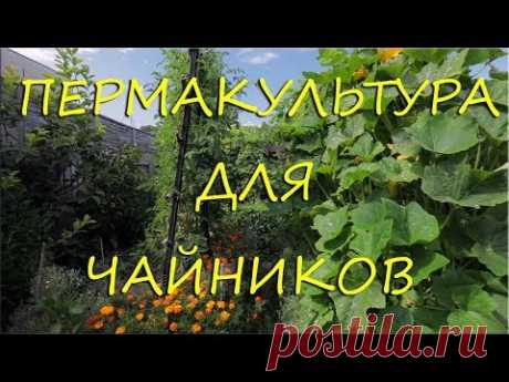 Пермакультура. Давайте начнем?