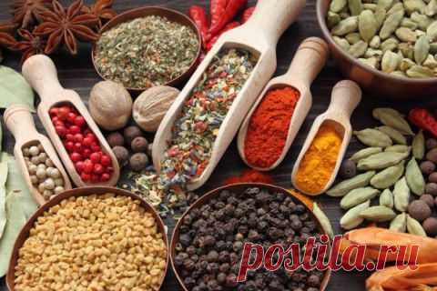 Вкусные Рецепты чем полезны специи для здоровья