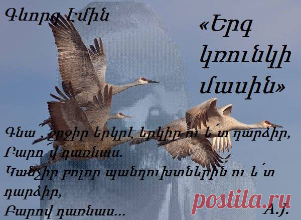 Գ.ԷՄԻՆ «Երգ կռունկի մասին»
Կռո՛ւնկ, Հայոց մոխիրը կար քո թեւերին,
Երբ չըւեցիր.
Թրջուա՜ծ էր քո աչքը Հայոց արցունքներից,
Երբ չըւեցիր.
Ասիր.“Չե՜մ գայ էլ Հայաստան. մա՛հ է այնտեղ,
Եղեռն,աւա՜ր…”
Մեր երկրի պէս աւեր բոյնդ անտէր թողիր
Ու չըւեցիր:
Ո՜ւր չըւեցիր`Հայոց վշտի անծայր բանտից
Դու դուրս չեկար.
Ամէն ջրում,ամէն հողում`վտարանդի
Հայի տեսար
Ականջ դրիր մէկի հարցին,մէկին թողիր
Անպատասխան
Եւ աշխարհում,ինչպէս նրանք,քո բնի պէս
Բոյն չտեսար:
Ո՜ւր գնացիր`մոխիր դարձաւ բոյնդ նորից
Թռար եկար
