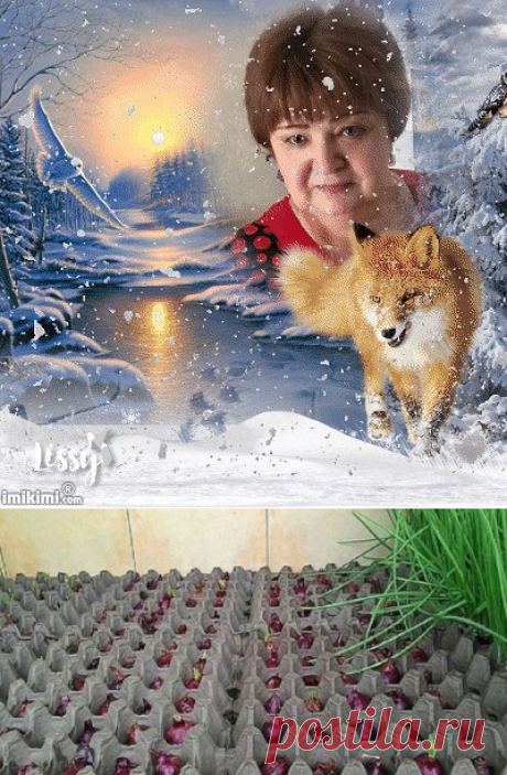 Одноклассники