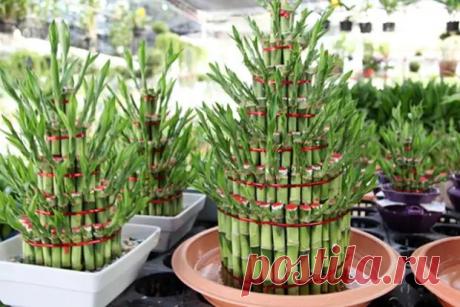 Лента - Новости - Медиаплатформа МирТесен