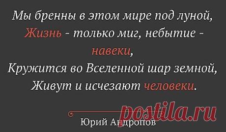 Интересные факты о Юрии Андропове