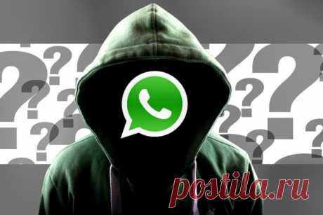 WhatsApp: Как включить режим невидимки и спрятать геолокацию | CHIP Россия