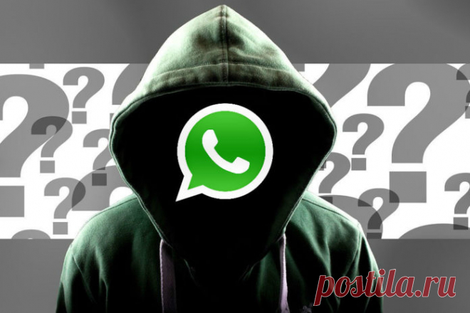 WhatsApp: Как включить режим невидимки и спрятать геолокацию | CHIP Россия