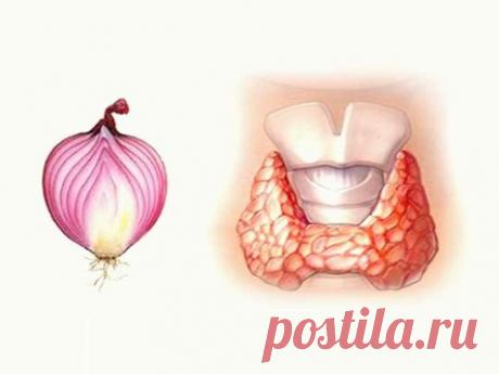 Он всю ночь проспала с луковым компрессом вокруг шеи. Наутро случилось чудо!