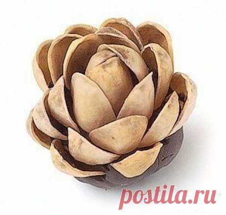 Одноклассники