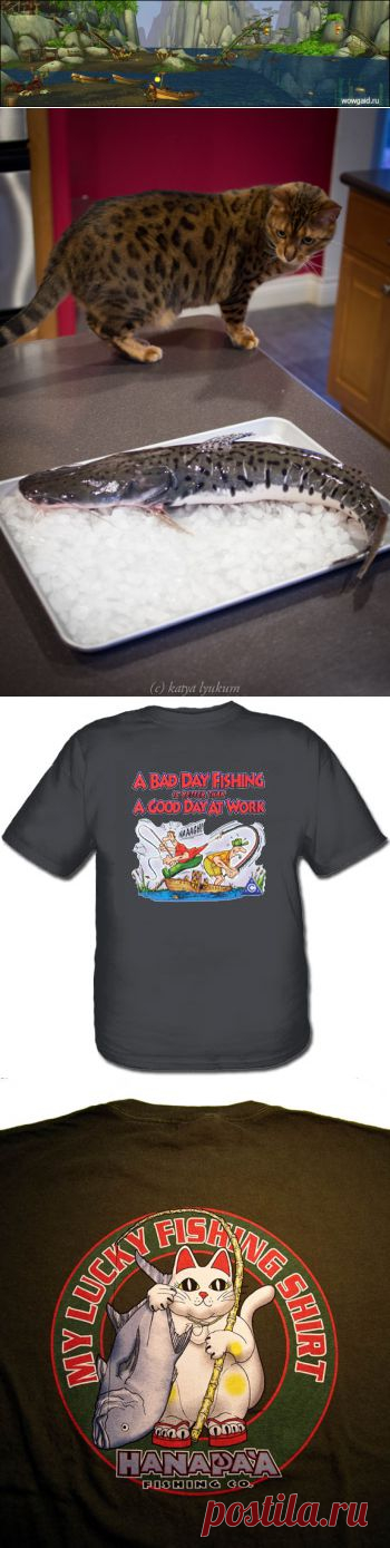 Народные приметы рыбаков |  и рыбалка