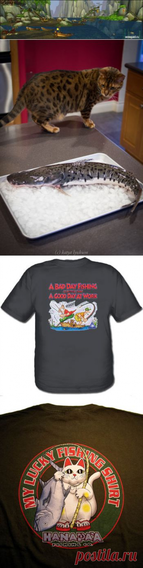 Народные приметы рыбаков |  и рыбалка