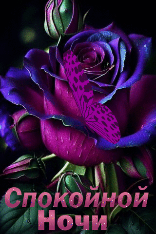 Спокойной ночи