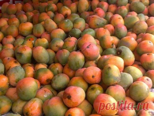 Пост-загадка «Найдите на картинке» (22 фото) . Тут забавно !!!