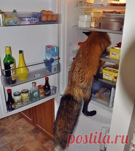 Курочку хочу!