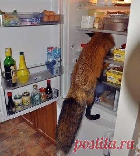 Курочку хочу!