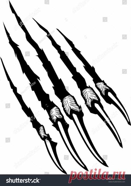 Animals | Studio77 FX vector: коллекция стоковых фотографий и изображений | Shutterstock