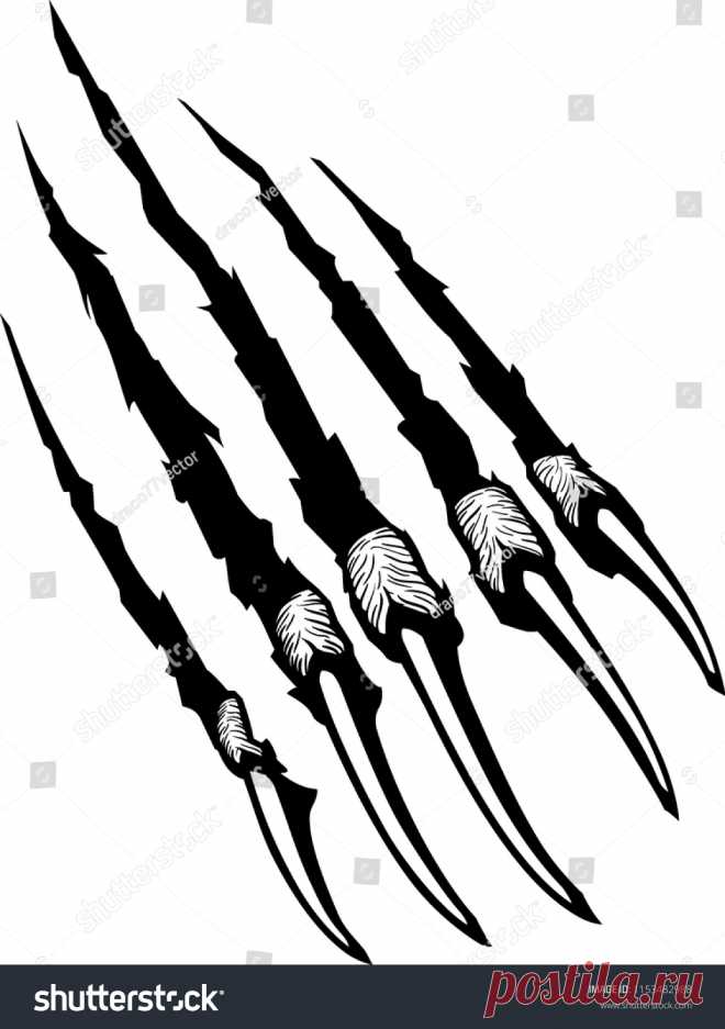 Animals | Studio77 FX vector: коллекция стоковых фотографий и изображений | Shutterstock