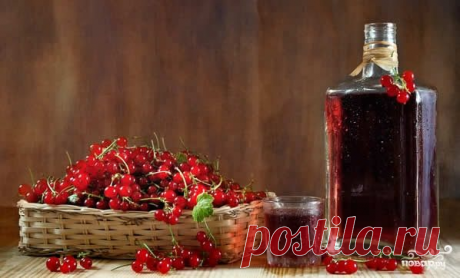 Своими руками. Вино из смородины | Никитинский | Яндекс Дзен