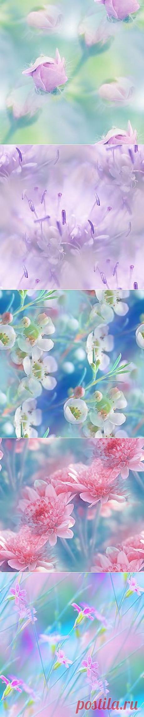 фоны из фотографий by =lpdragonfly — Прекрасные фоны для дневников